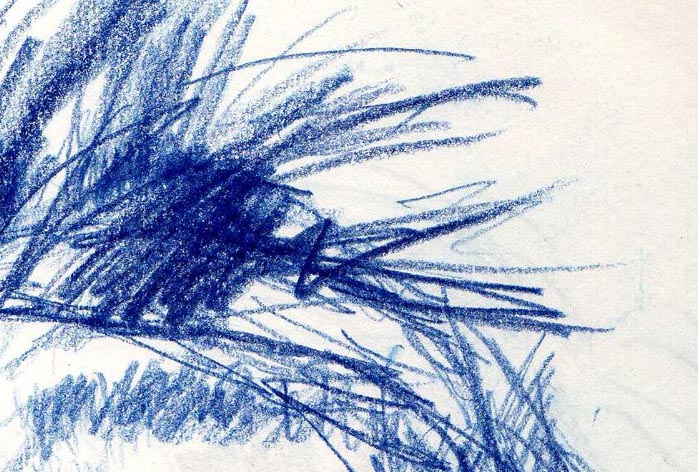 szkic