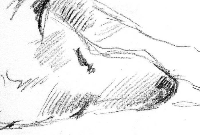 szkic