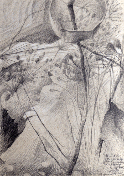 szkic